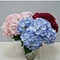 bulk fake hydrangeas